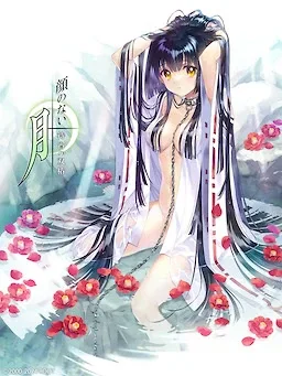 无颜之月-待宵双椿 攻略要点 演示图